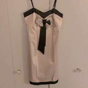 Platinum and Black Dress